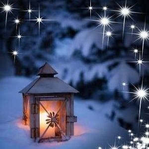 Meet your Posher, Lynn